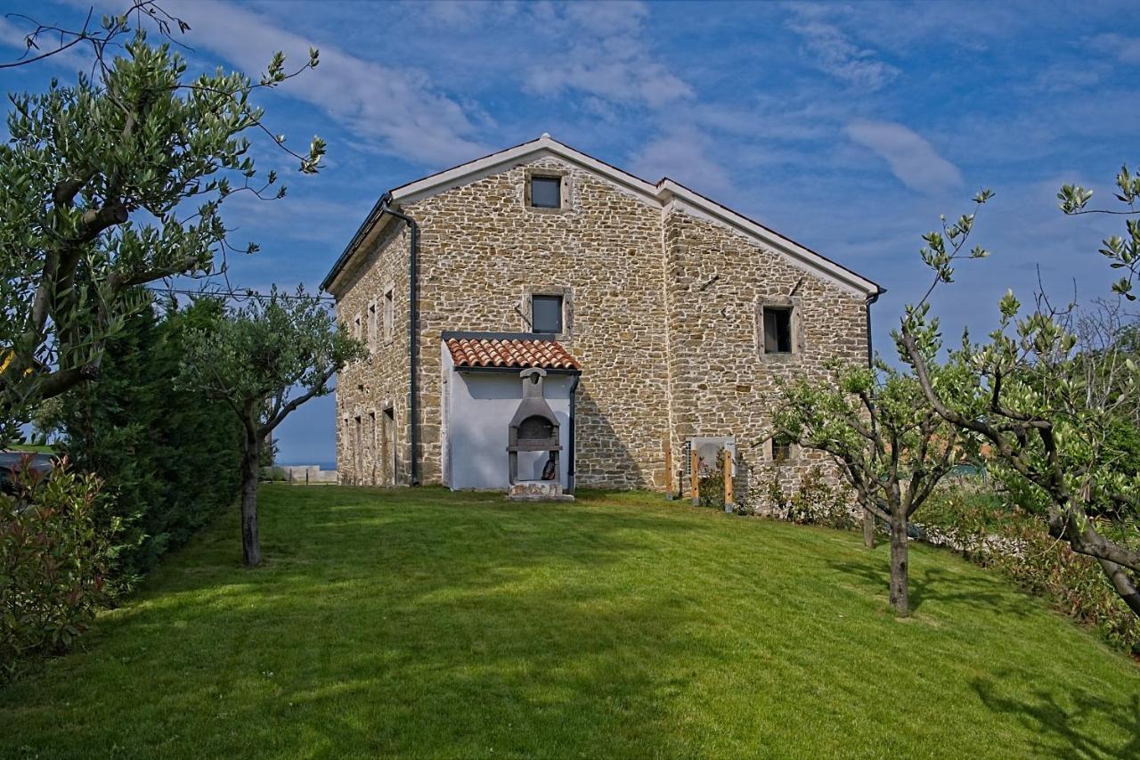 Villa Carica Krasica  Εξωτερικό φωτογραφία