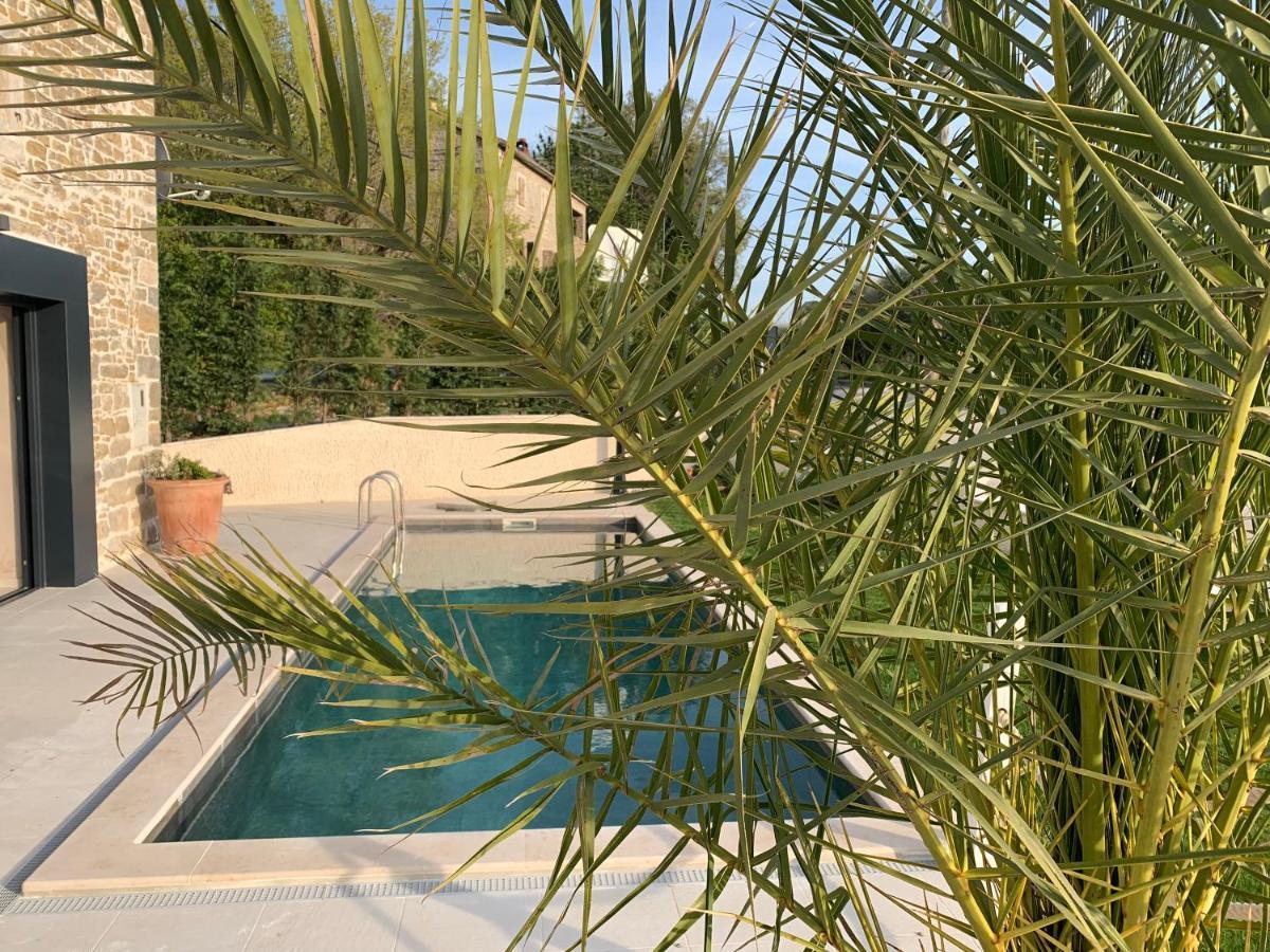 Villa Carica Krasica  Εξωτερικό φωτογραφία